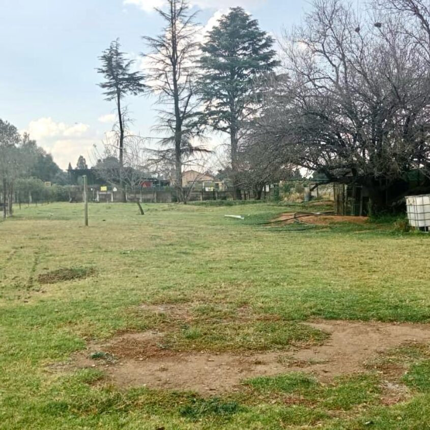 FARM IN SUNDRA