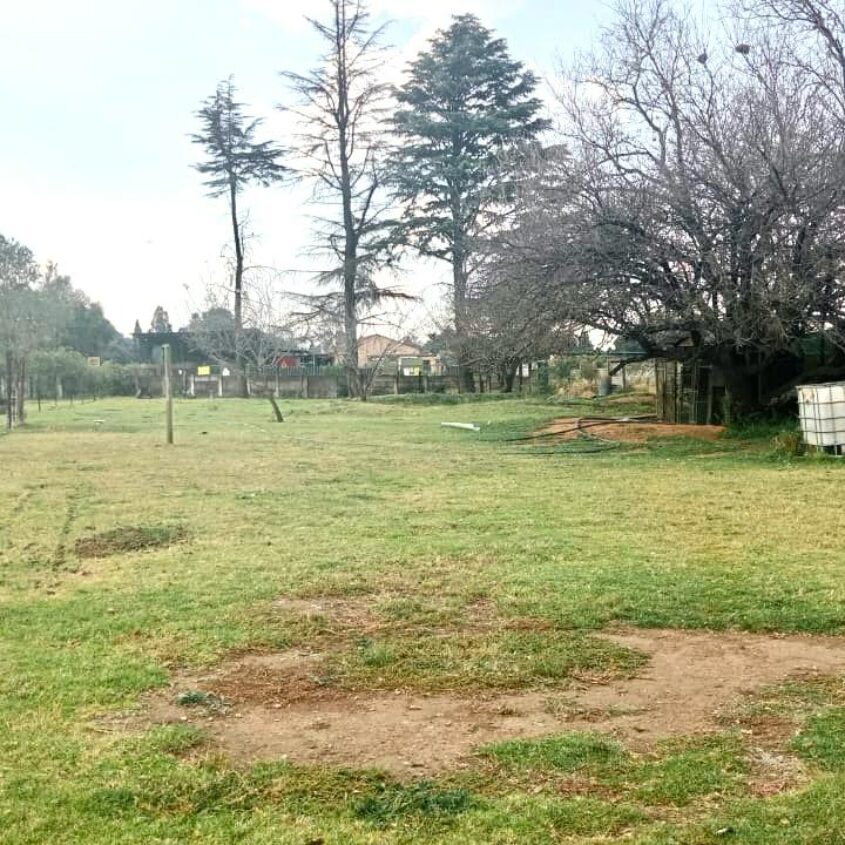 FARM IN SUNDRA