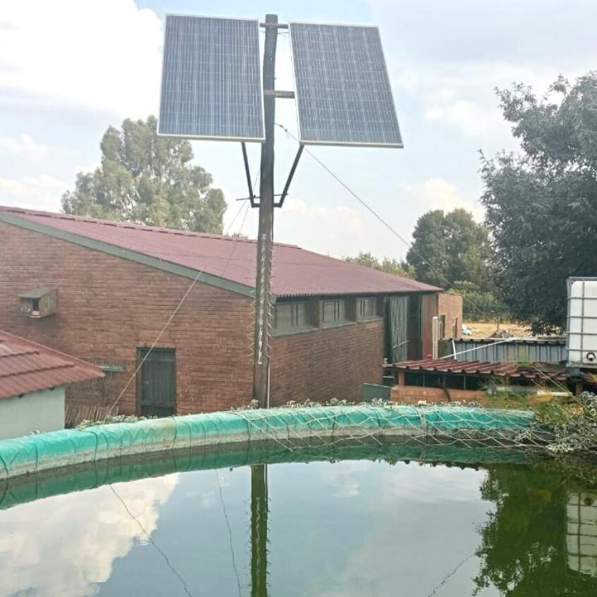 FARM IN SUNDRA