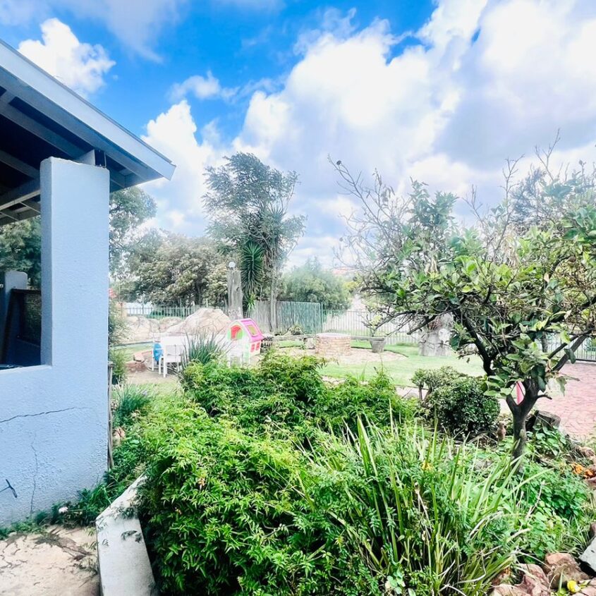 CLEAN HOUSE IN ALBERTON NORTH